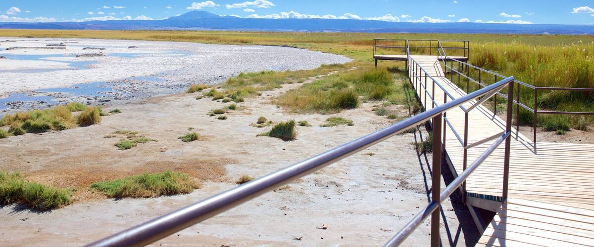Cejar Lagoon which includes tranquil scenes, a lake or waterhole and landscape views