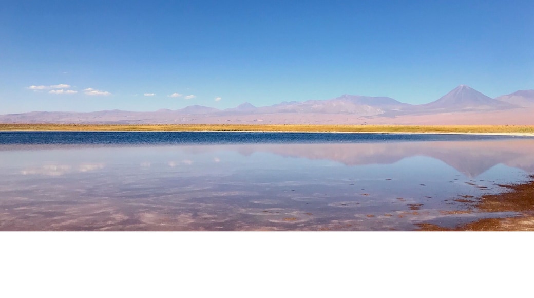 #chile #atacama #lagunas #travel #desierto #desert