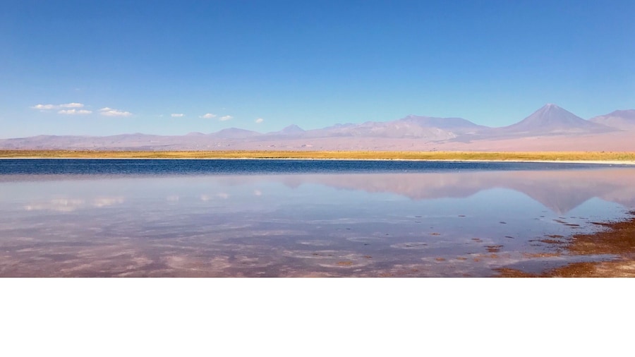 #chile #atacama #lagunas #travel #desierto #desert