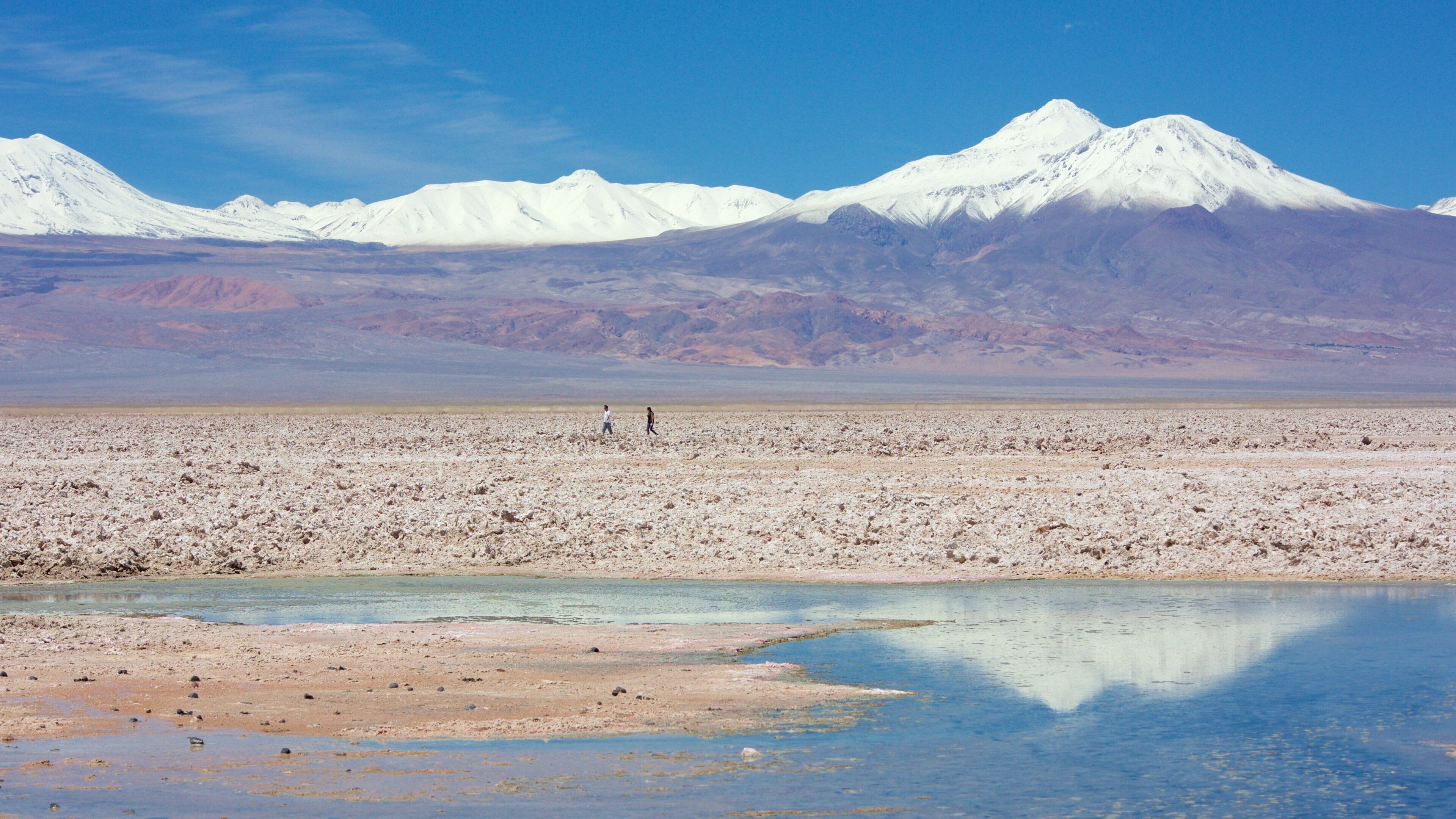 Chaxa Lagoon featuring desert views and landscape views