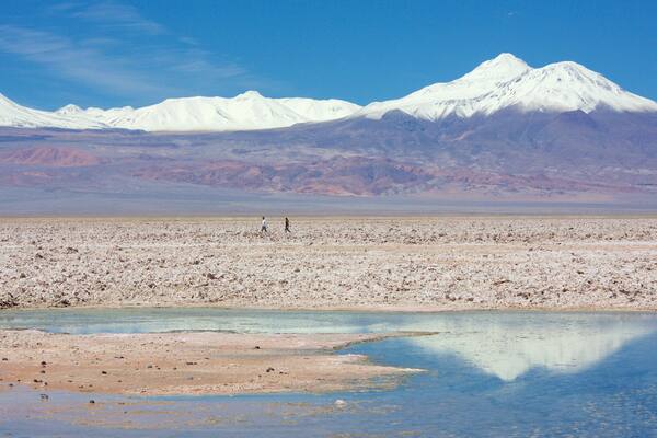 Chaxa Lagoon featuring desert views and landscape views