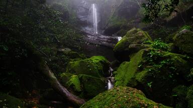 Beautiful waterfall in the deep forest, Beautiful green moss on the rock. Sai Thip waterfall at Phu Soi Dao national park.