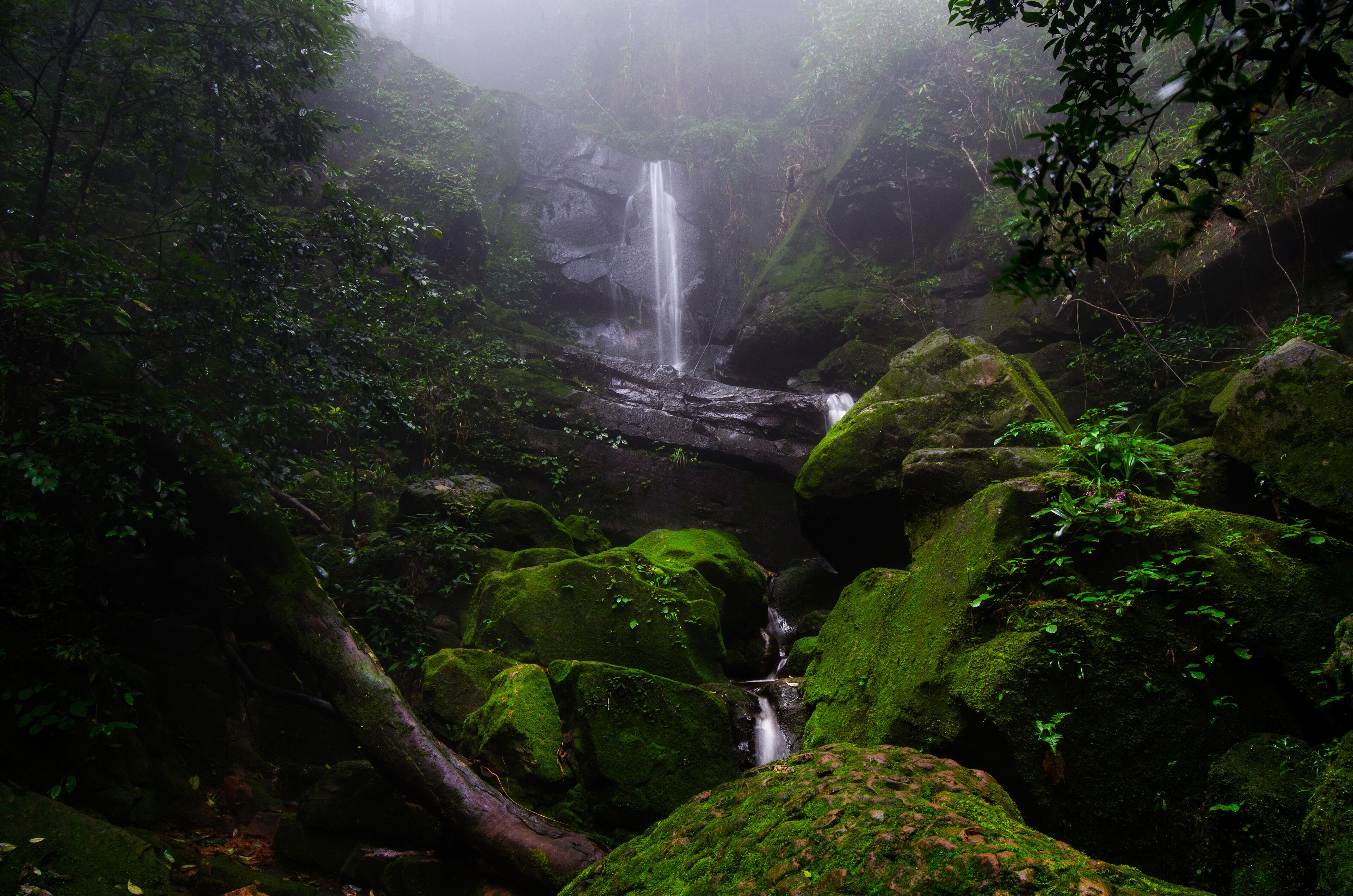 A forested area with a waterfall cascading over rocks.