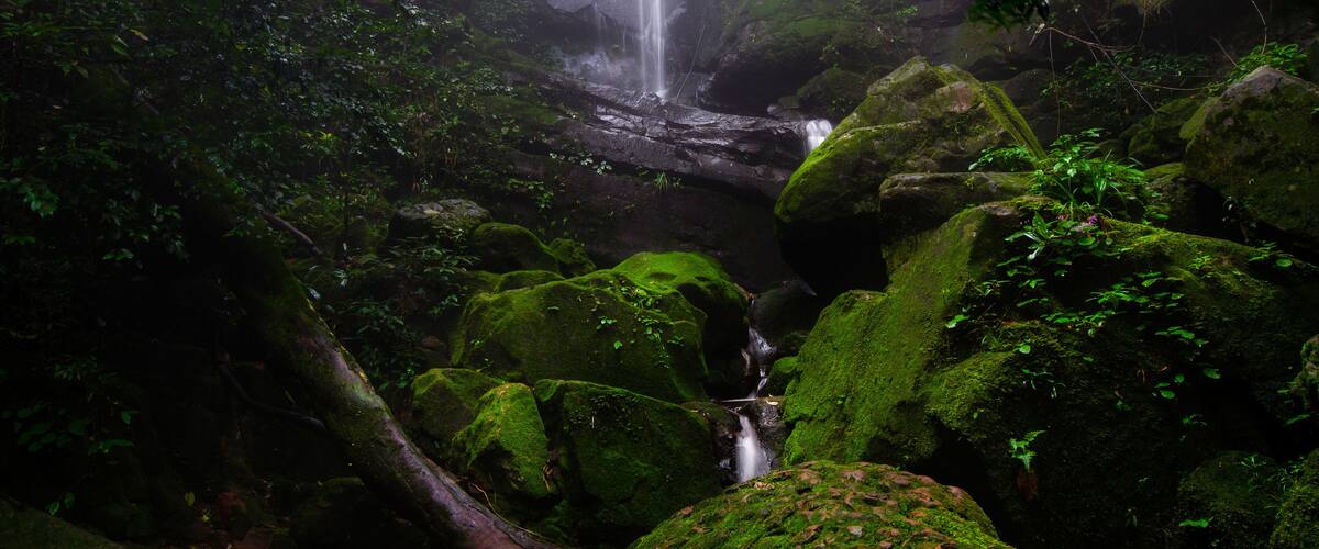 A forested area with a waterfall cascading over rocks.