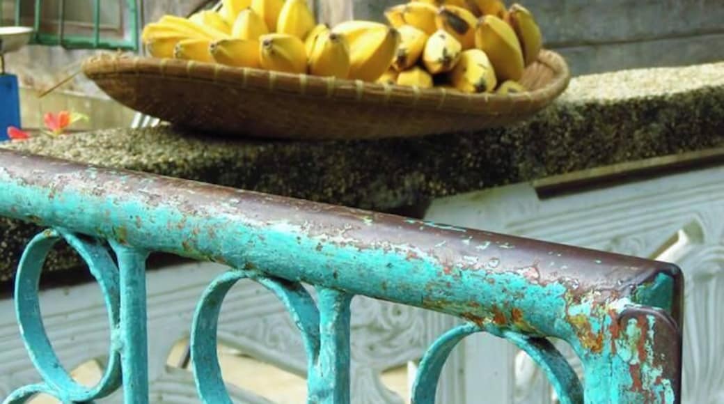 Gorgeous town with a couple of resorts a couple of km from Oslob #Culture