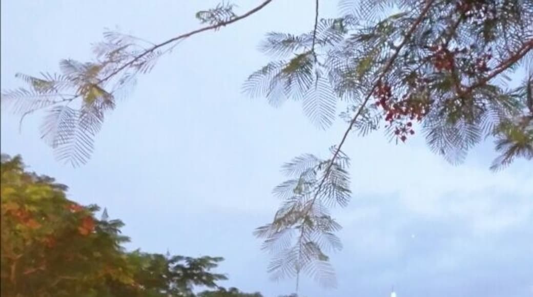 A beautiful evening stroll through Tlaquepaque near Guadalajara, Jalisco