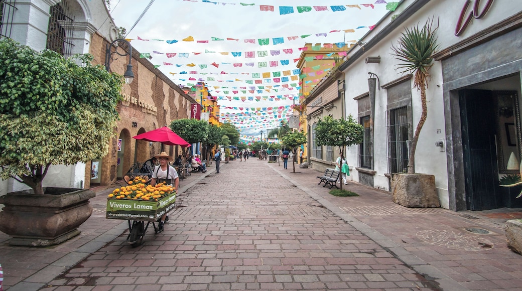 Guadalajara_TlaquepaqueCentro_5