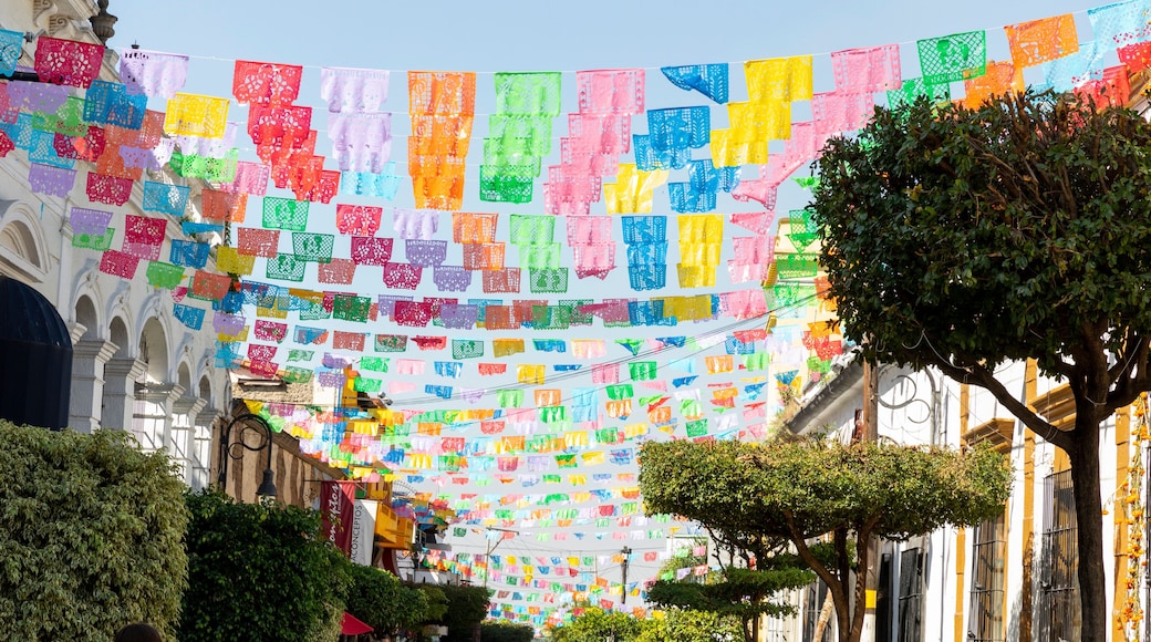 Shoot of the historical center