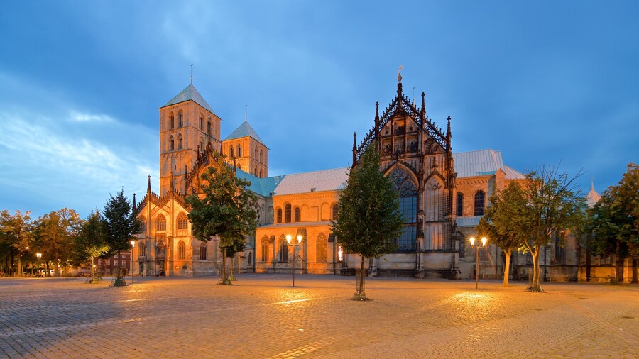 Muenster Cathedral which includes a church or cathedral, night scenes and heritage architecture