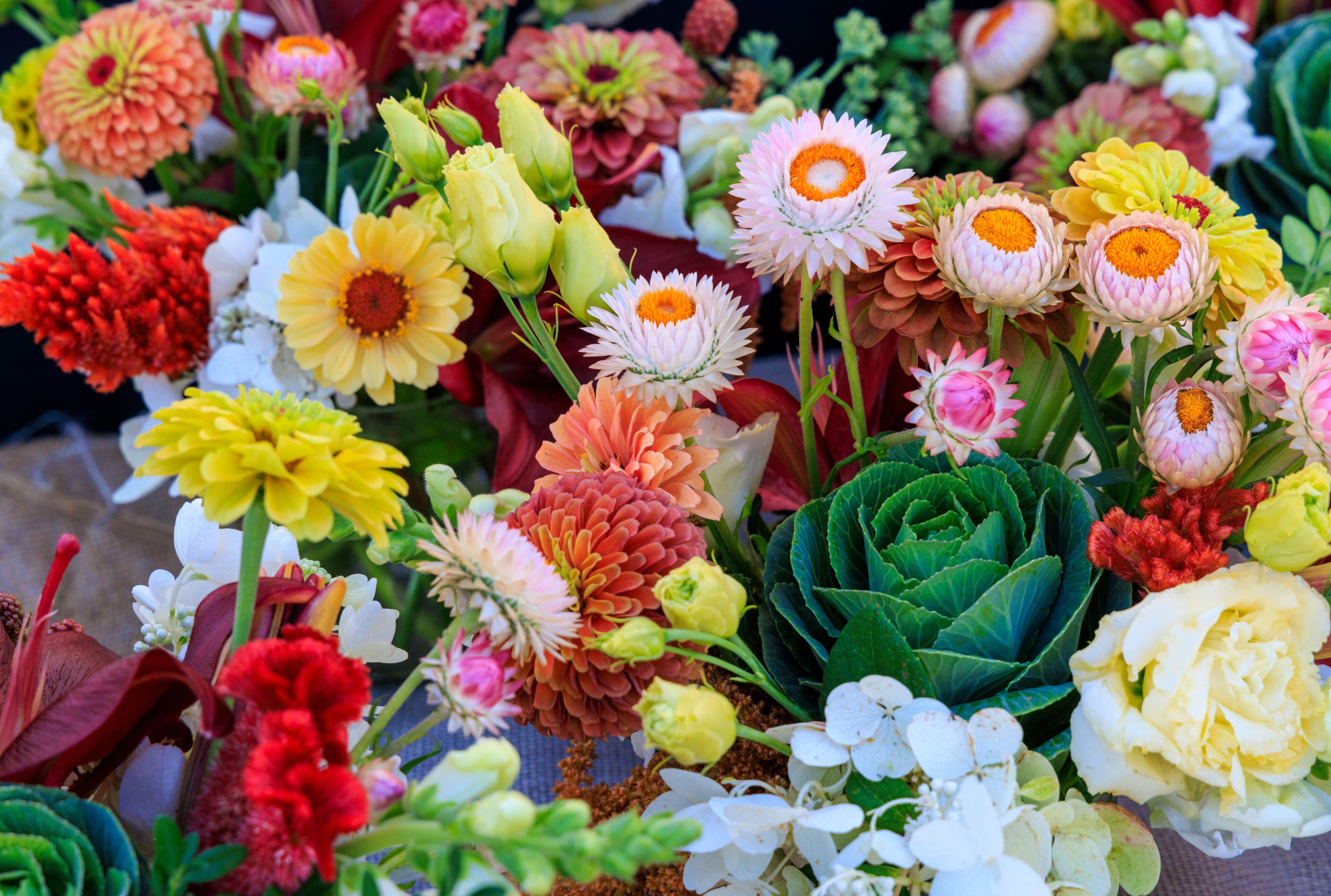 A variety of colorful flowers in full bloom.