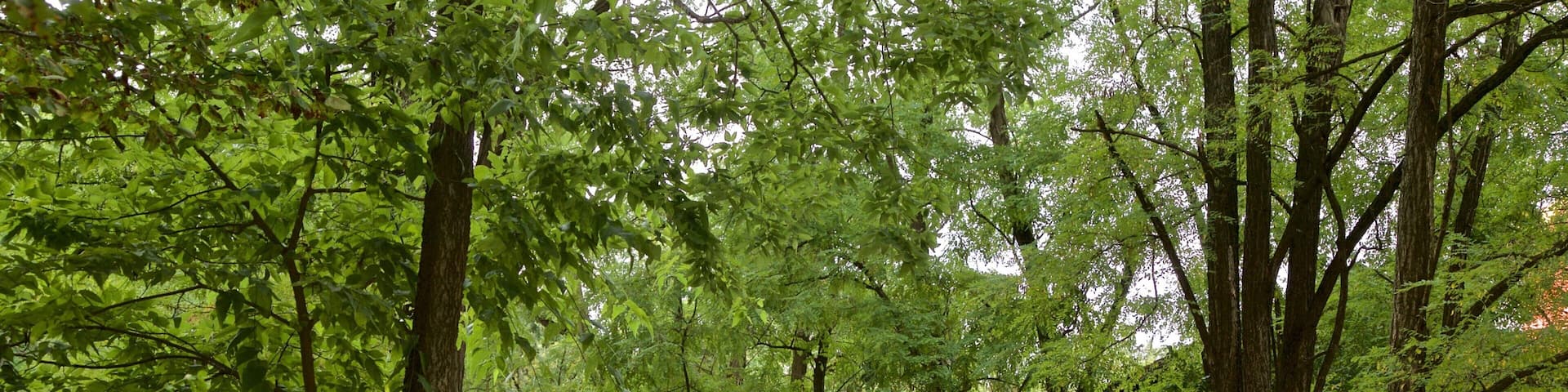 Fishers featuring a garden and a small town or village