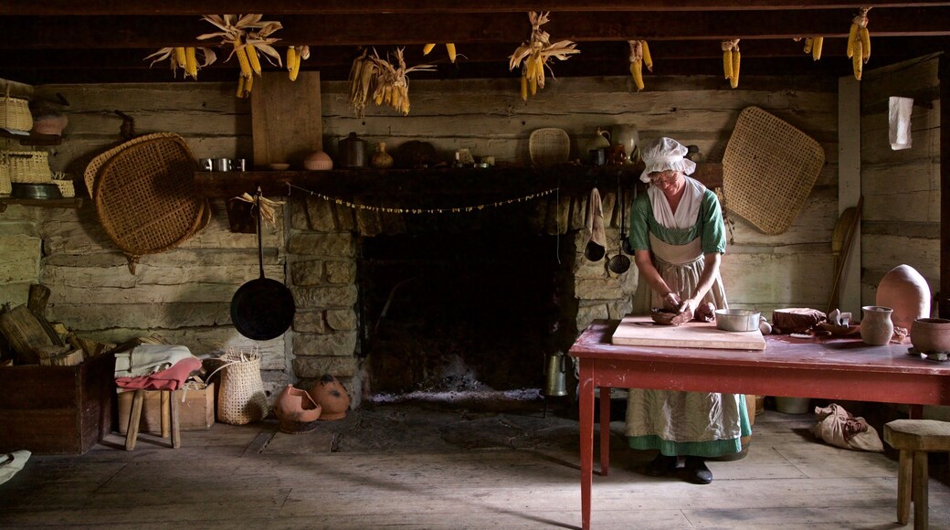 Conner Prairie Interactive History Park mostrando elementos del patrimonio y vistas interiores y también una mujer