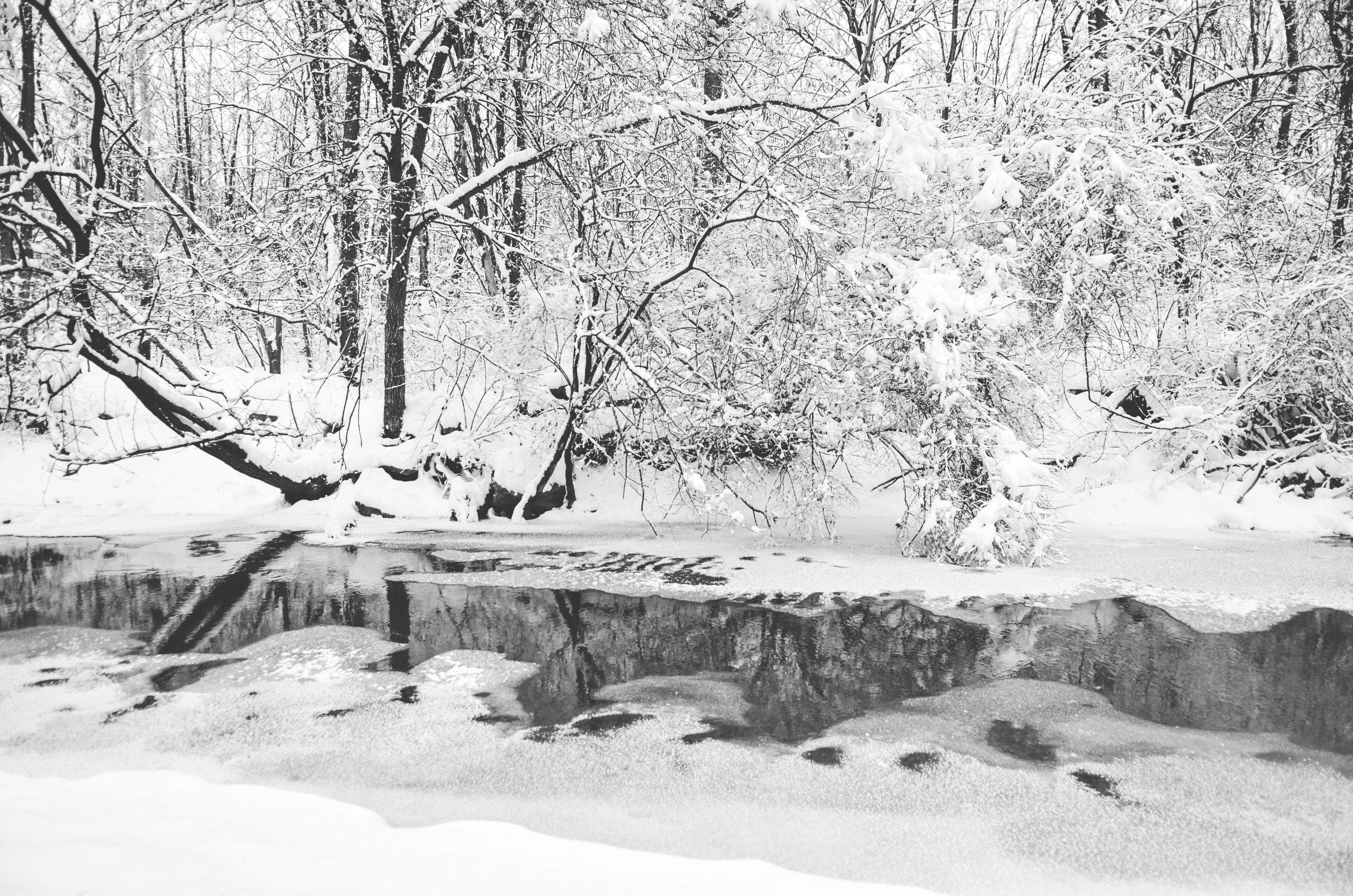 A snowy landscape with a frozen river and trees covered in snow.