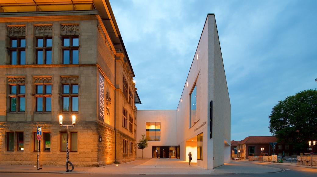 Altstadt featuring night scenes