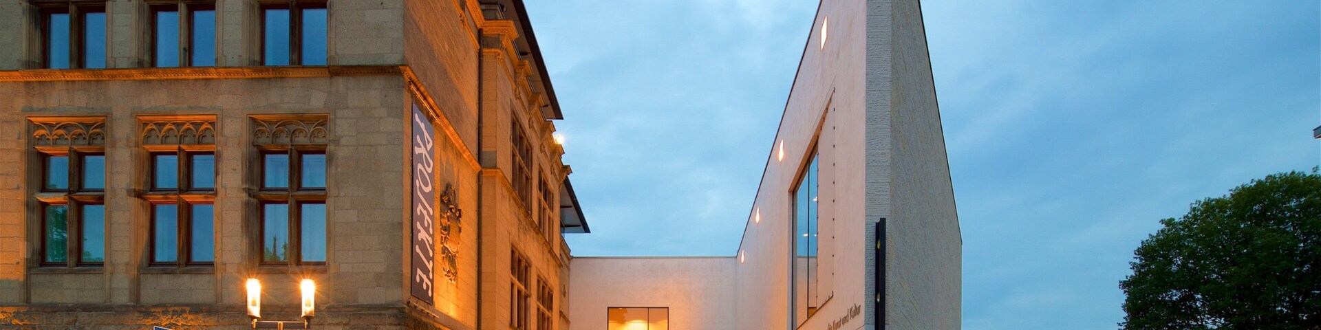 Altstadt featuring night scenes