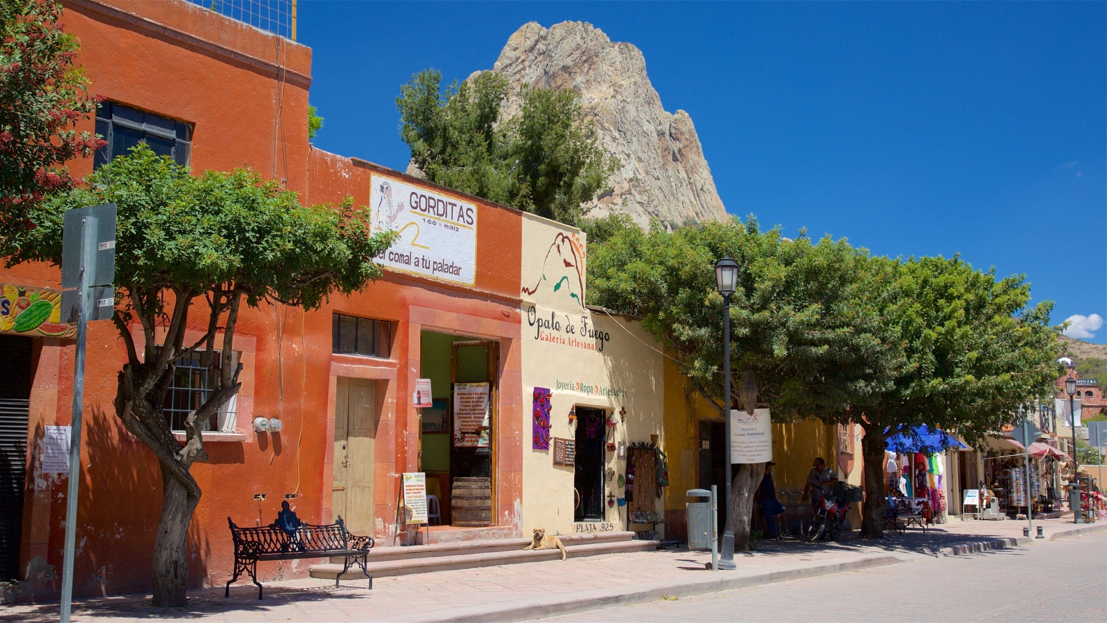 A street with shops, a mountain in the background, and a dog on the sidewalk.