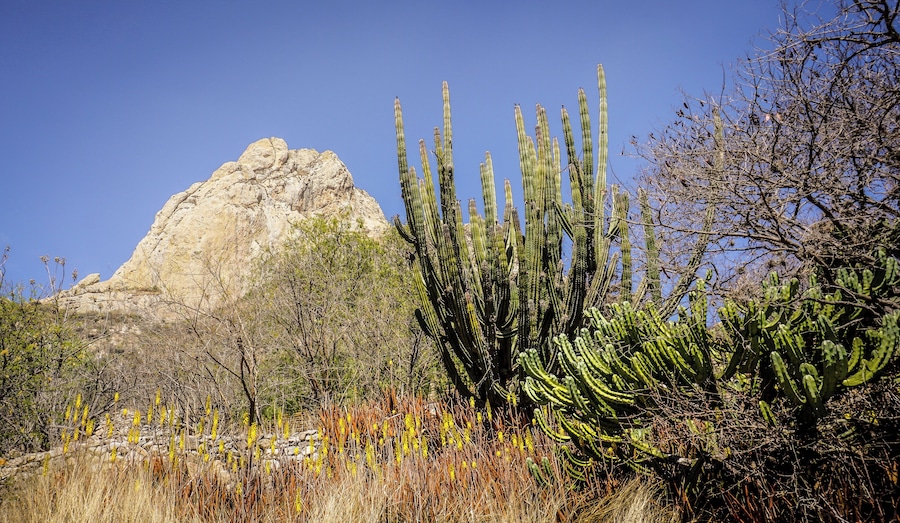 Peña de Bernal, in central Mexico, is the third largest monolith of the World. It is possible to climb it and the town that lays below the boulder is beautiful. This is a 433 meter tall of rough and amazing #Nature