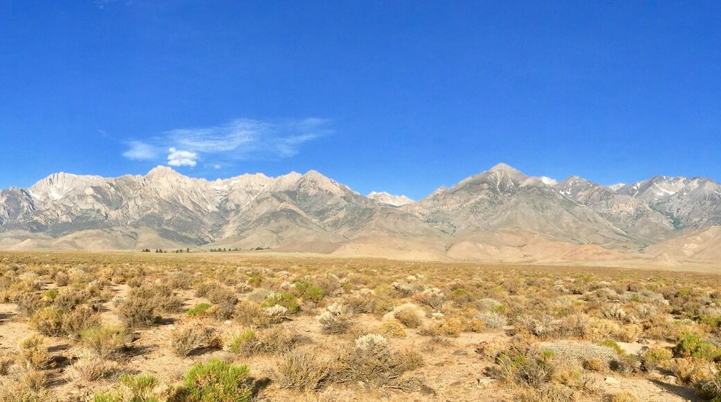 Such a great start to the day