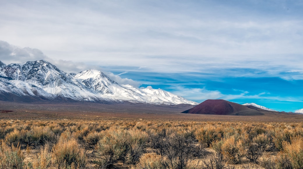 Independence, California