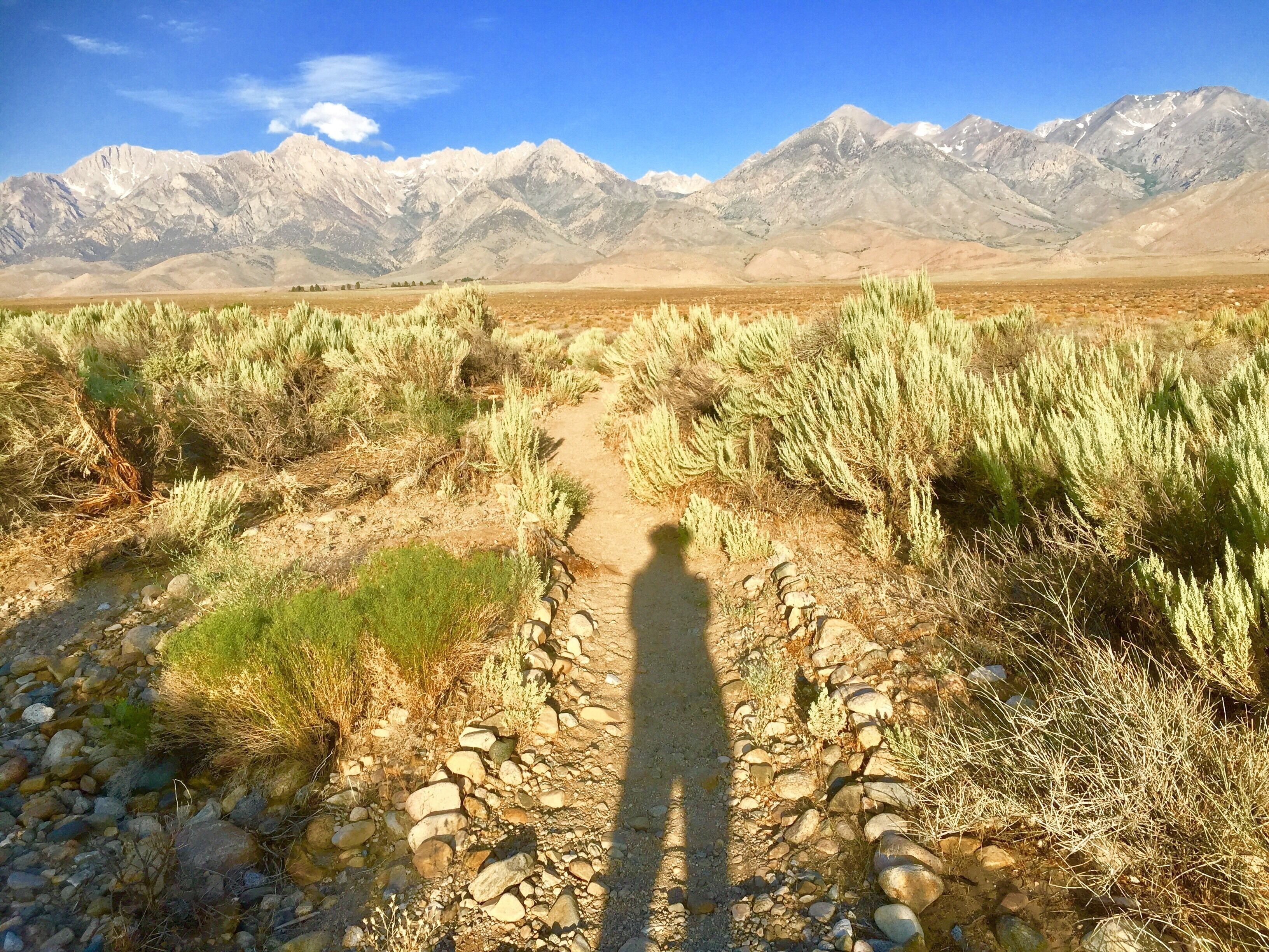 Follow the maze of trails behind the museum for an idyllic setting if you’re a runner!