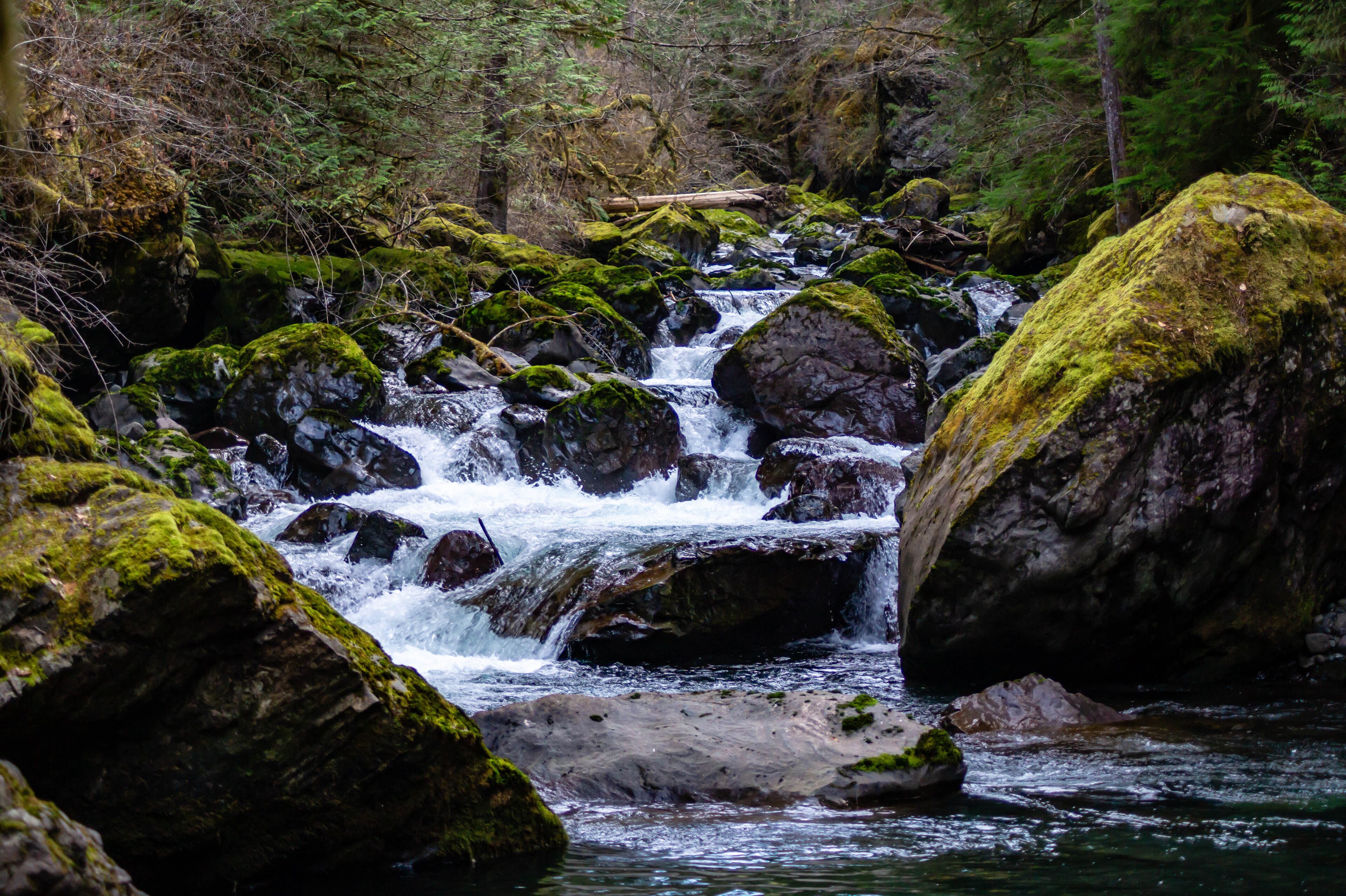 Rapids along the Big Quilcene River inside the Olympic National Forest in Washington