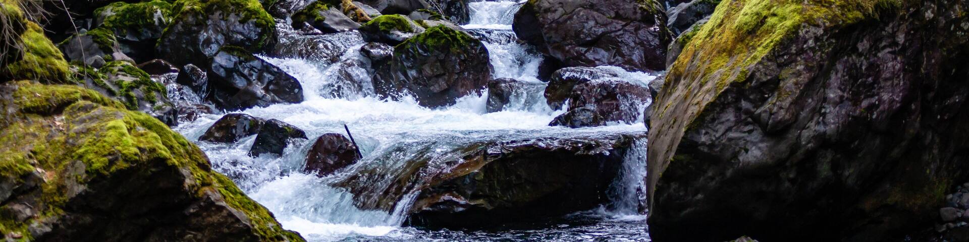 A forested stream with moss-covered rocks and a fallen log.