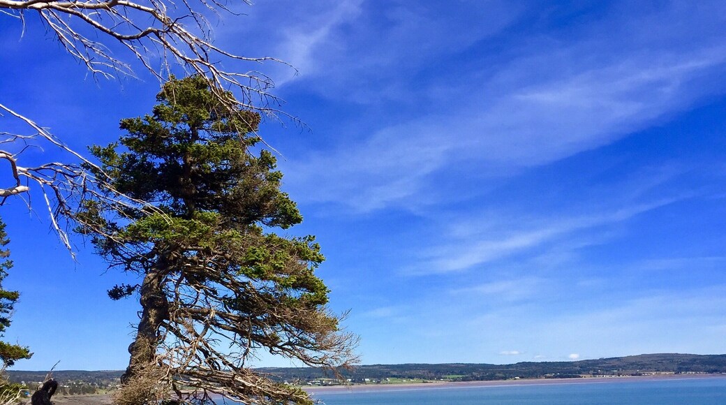 The drive up to the start of the Cape Split trail provides some beautiful coastline views
#GreatOutdoors