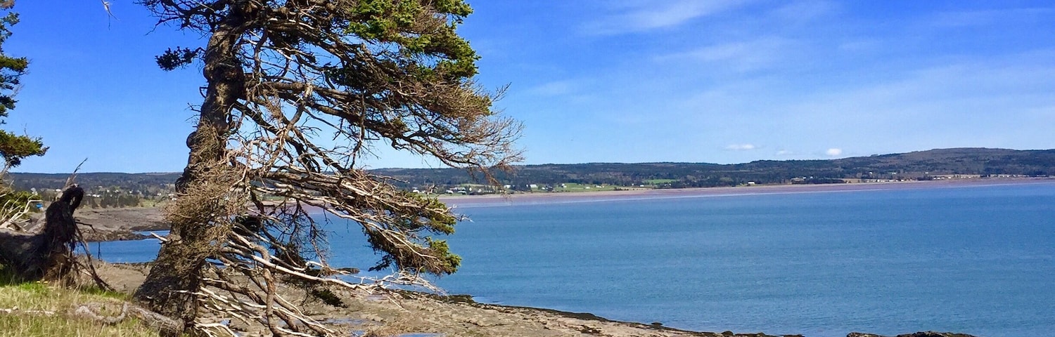 The drive up to the start of the Cape Split trail provides some beautiful coastline views
#GreatOutdoors