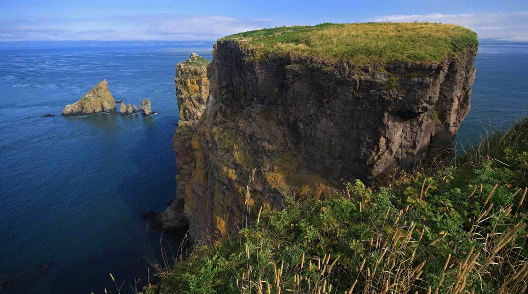 This is the view overlooking the Bay of Fundy from the tip of Cape Split, Nova Scotia. A nice 13 kilometers return hike to the end of the cape. The trail is well maintained, but watch the weather as it can be sunny at the trail head and then be foggy at the end. There are some trails down the cliffs to the coastline as well, but be very aware of the tides as many people have been stranded due to the fast tides.