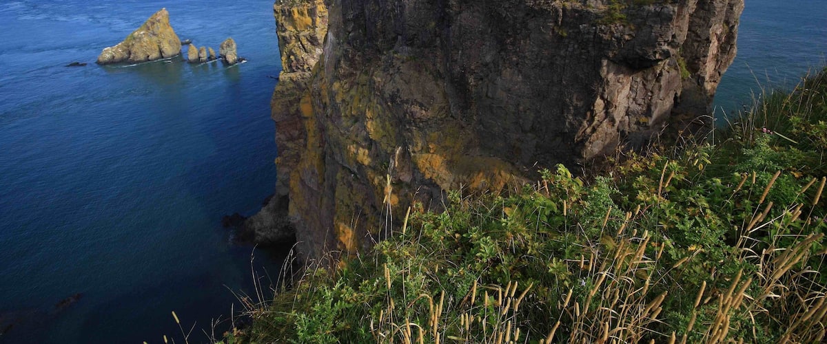 A rugged cliff with a grassy top, overlooking a calm sea.
