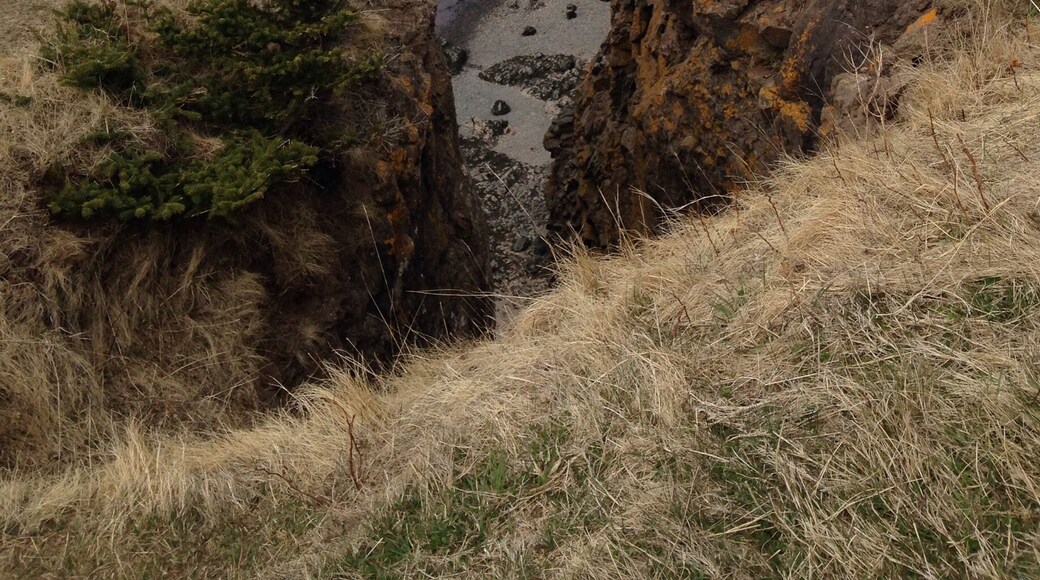 Beautiful afternoon hike located in Scott's Bay, Nova Scotia. The hike was fairly easy and 16km round trip. Definitely worth a trip!
