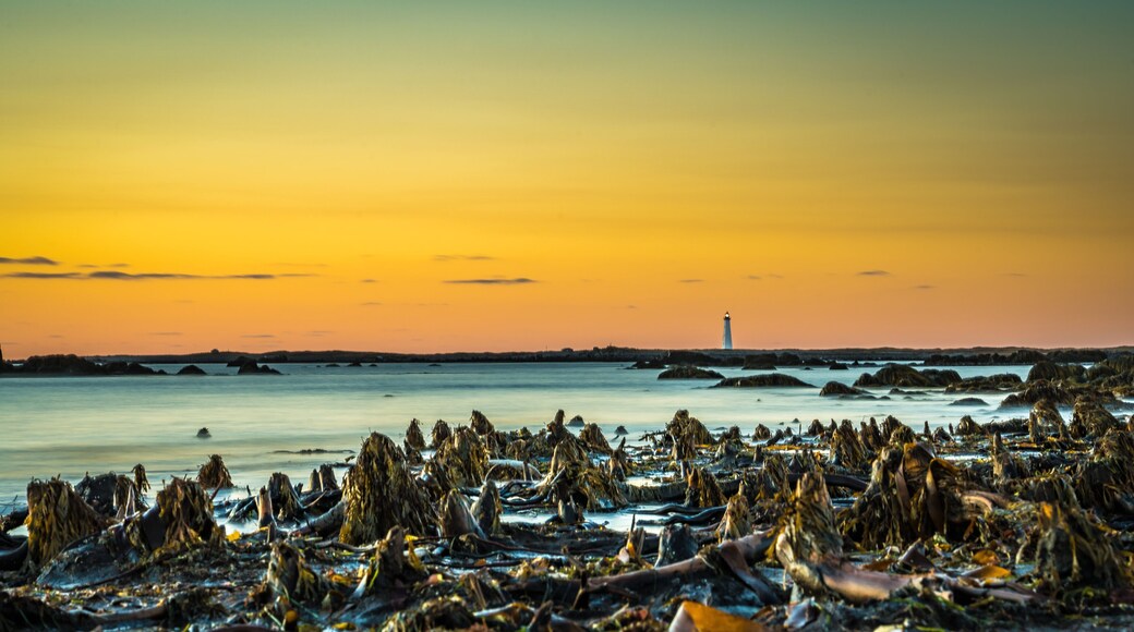 ケープ セイブル島