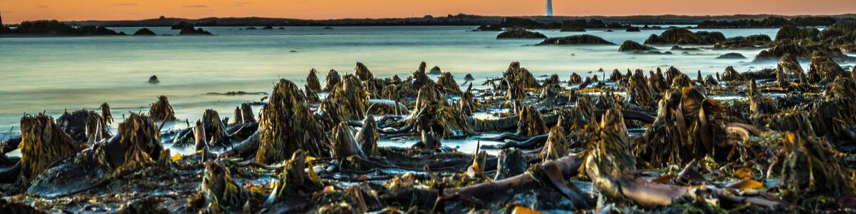 Seascapes of Cape Sable Island Nova Scotia Canada