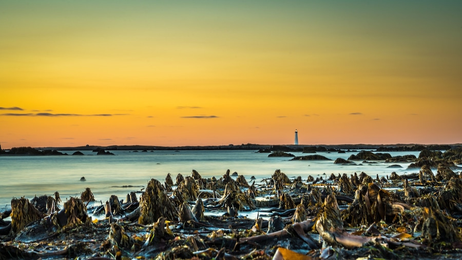 Seascapes of Cape Sable Island Nova Scotia Canada
