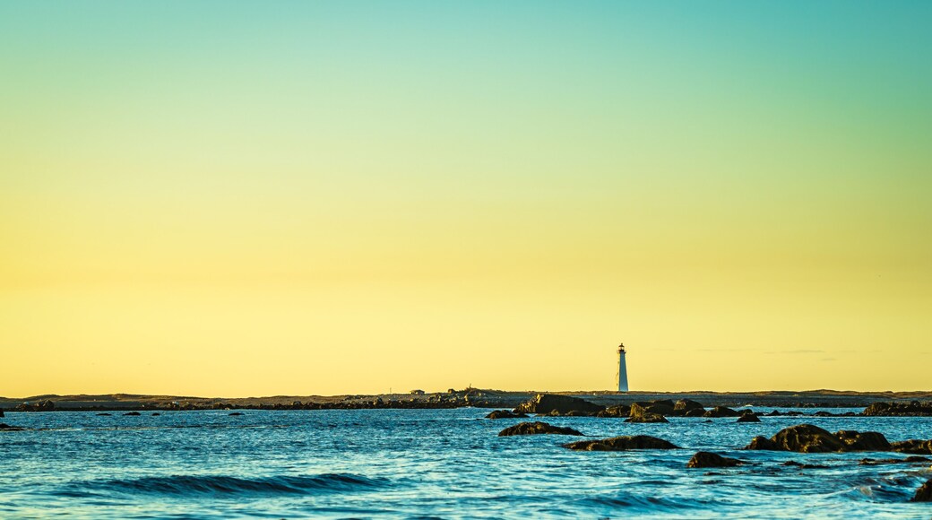 ケープ セイブル島