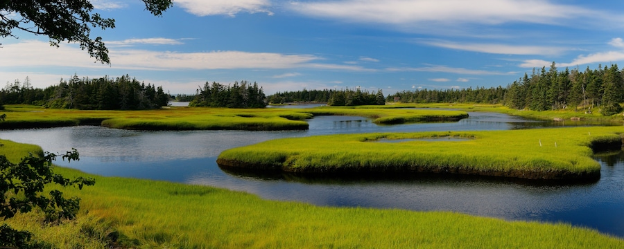 Un paysage paisible, avec une rivière tranquille, de vastes champs verdoyants et des forêts denses.
