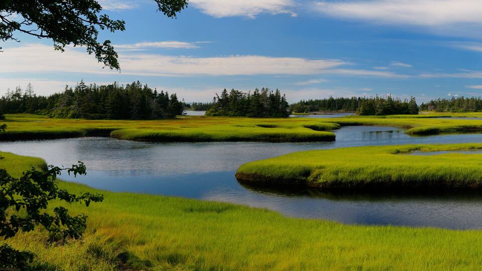 A serene landscape with a calm river, lush green fields, and dense forests.