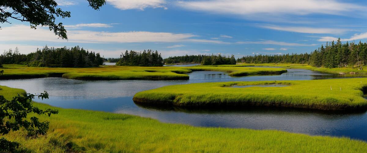 A serene landscape with a calm river, lush green fields, and dense forests.