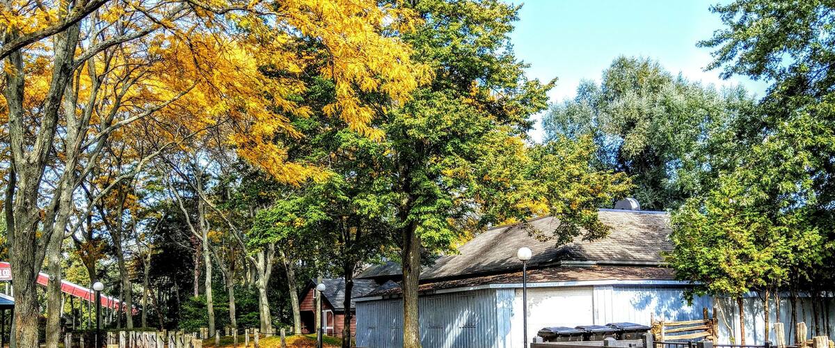 A park with autumn leaves, a wooden bench, and a building with a sloped roof.