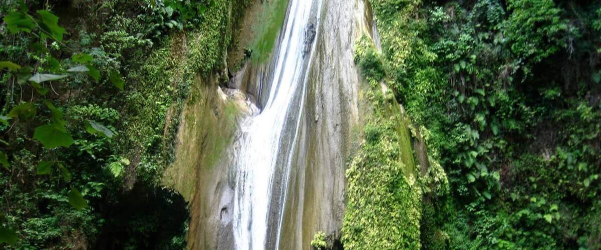 A waterfall cascading down a moss-covered cliff into a pool of water surrounded by dense greenery.