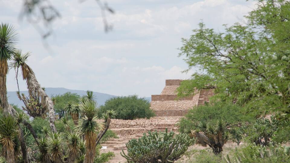 A stone pyramid structure surrounded by desert vegetation.