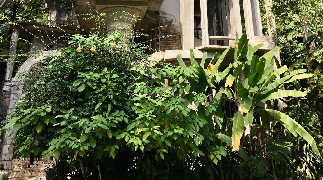 Las Pozas ("the Pools"), near the village of Xilitla, San Luis Potosí, more than 2,000 feet (610 m) above sea level, in a subtropical rainforest in the mountains of Mexico, is a garden created by Edward James. It includes more than 80 acres of natural waterfalls and pools interlaced with towering Surrealist sculptures in concrete.