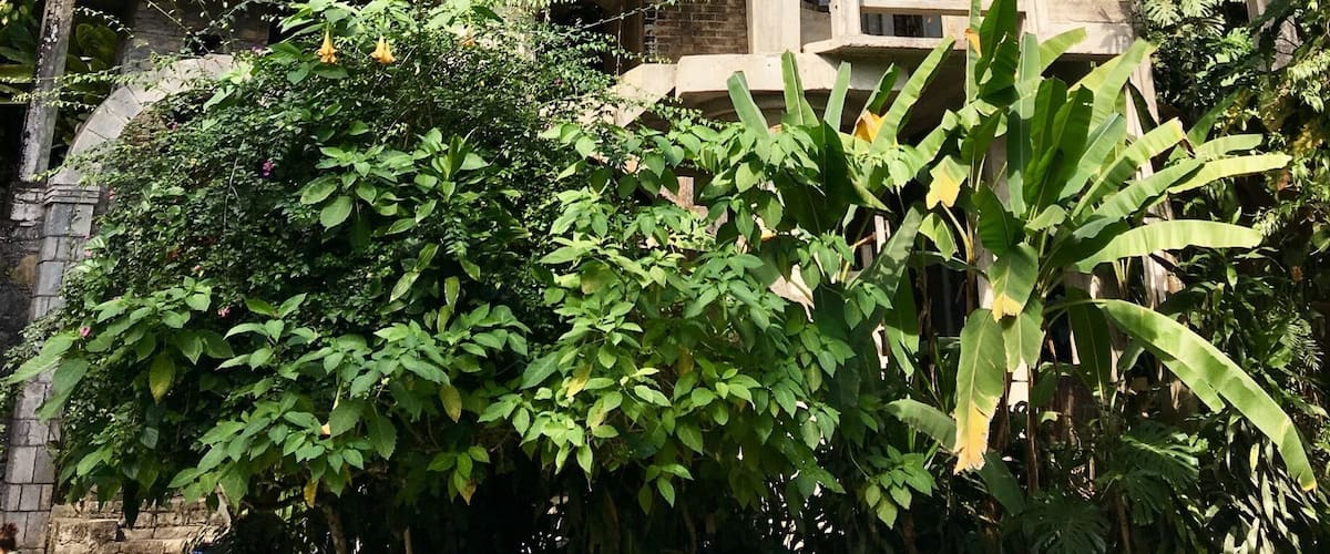 Las Pozas ("the Pools"), near the village of Xilitla, San Luis Potosí, more than 2,000 feet (610 m) above sea level, in a subtropical rainforest in the mountains of Mexico, is a garden created by Edward James. It includes more than 80 acres of natural waterfalls and pools interlaced with towering Surrealist sculptures in concrete.