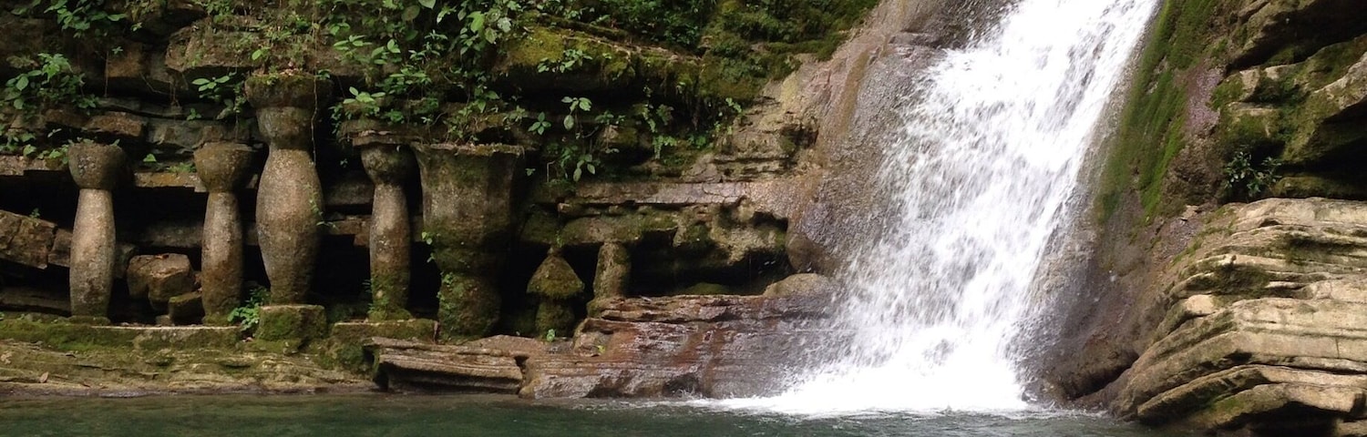 Una cascada se precipita en una poza cristalina rodeada de rocas cubiertas de musgo y abundante vegetación.