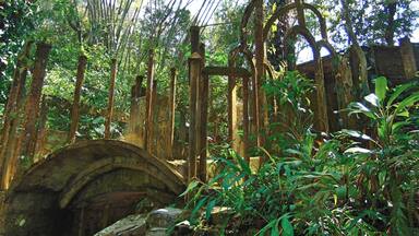 A stone bridge in a lush, green forest with bamboo and dense foliage.