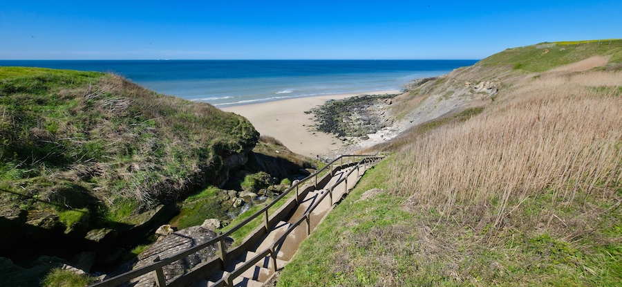 Paisaje costero con playa arenosa, acantilados cubiertos de hierba y una escalera de madera que baja hacia la orilla.