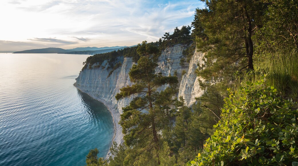 View of the Black Sea from the pine forest, a place called Blue Deep. Gelendzhik district, Russia.; Shutterstock ID 524241952