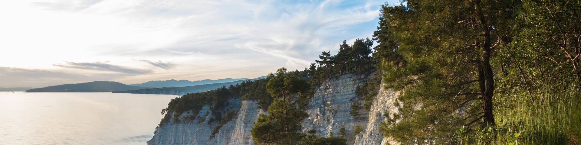 View of the Black Sea from the pine forest, a place called Blue Deep. Gelendzhik district, Russia.; Shutterstock ID 524241952