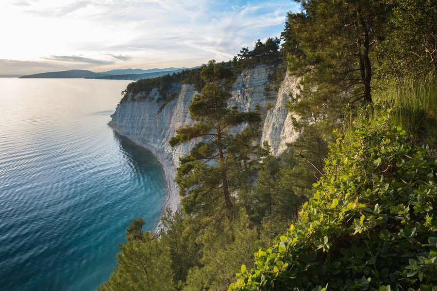 View of the Black Sea from the pine forest, a place called Blue Deep. Gelendzhik district, Russia.; Shutterstock ID 524241952