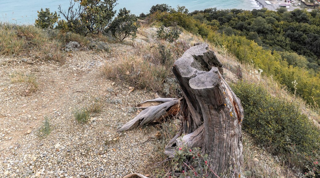 Sunset view on Dyrso, Novorossiysk.